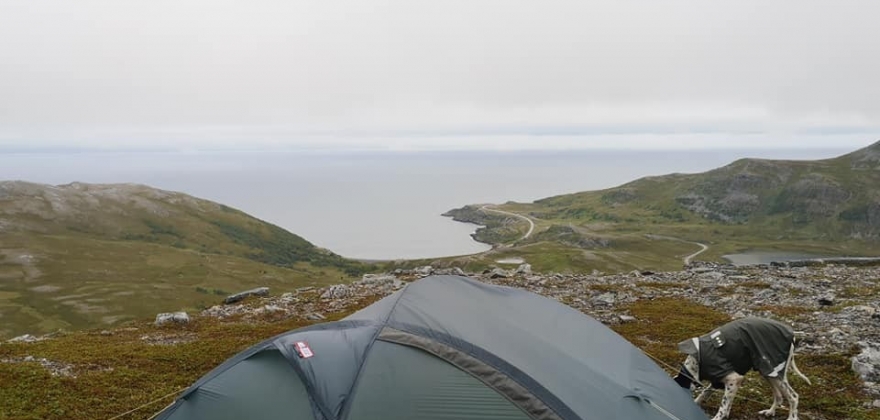 Kommer til Nordkapp kommune Kommer til Nordkapp kommune