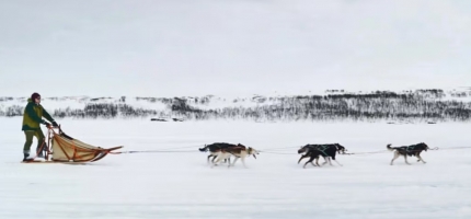 Nordkapp kino: Prøver ut formiddagskino på lørdag Nordkapp kino: Prøver ut formiddagskino på lørdag