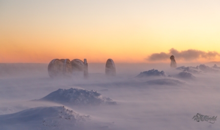 Har fått tillatelse til bruk av hjullaster på Nordkapp Har fått tillatelse til bruk av hjullaster på Nordkapp