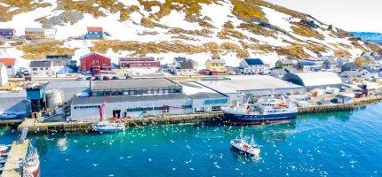 Fiskarlaget er imot leveringsplikten Fiskarlaget er imot leveringsplikten