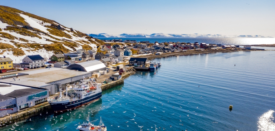 Sjmatnringens samlede sysselsettingseffekt i Nordkapp: 35 prosent