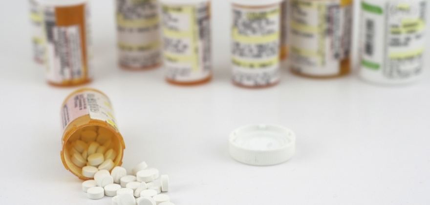 82 000 nordlendinger med pollenallergi 82 000 nordlendinger med pollenallergi