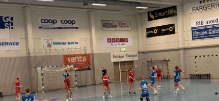 Mange håndballdommere opplever uønskede hendelser Mange håndballdommere opplever uønskede hendelser