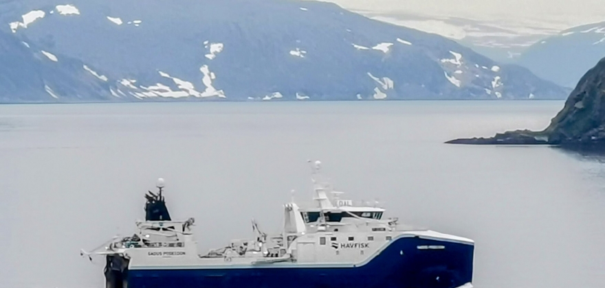 30 torsketrålere fisket for over 100 millioner hver i fjor 30 torsketrålere fisket for over 100 millioner hver i fjor