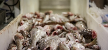 Pliktutvalget ber om innspill Pliktutvalget ber om innspill