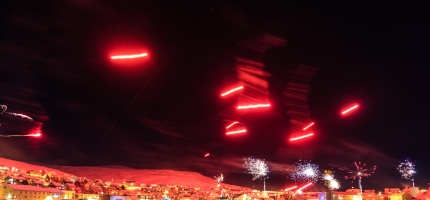 Vis hensyn til dyrene på nyttårsaften Vis hensyn til dyrene på nyttårsaften