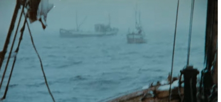 Hyller folkets langs kysten Hyller folkets langs kysten