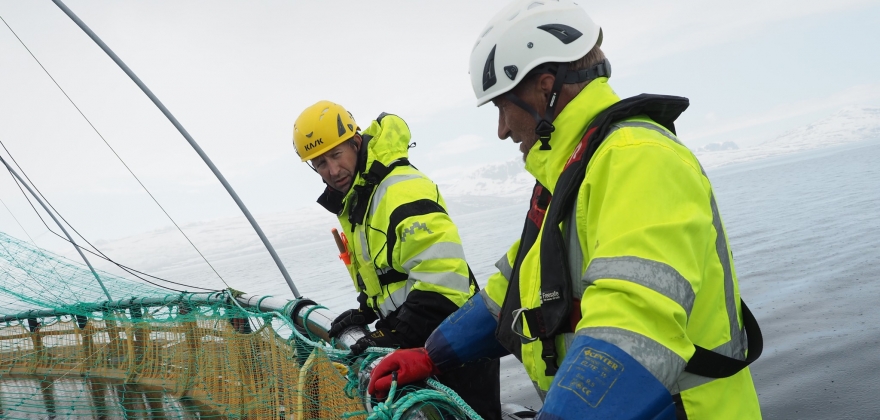 Ny regiondirektør i Grieg Seafood Finnmark Ny regiondirektør i Grieg Seafood Finnmark