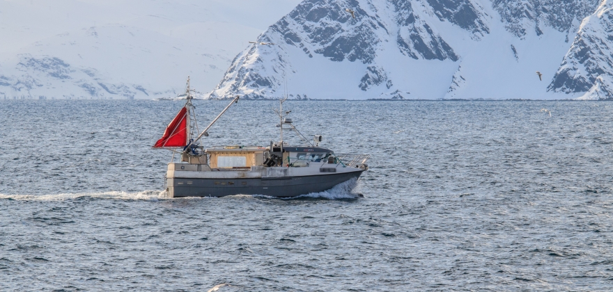 Stor aktivitet i alle fiskevrene 