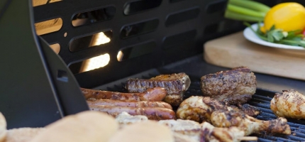 Aktivitetsdag i Nordvågen Aktivitetsdag i Nordvågen
