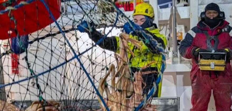 Snøkrabbefangsten 2025 er i gang Snøkrabbefangsten 2025 er i gang