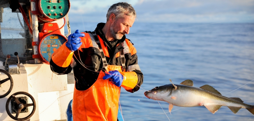 Mener Ap og Sp ikke deltar i fiskeridebatten Mener Ap og Sp ikke deltar i fiskeridebatten