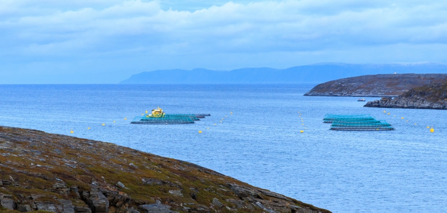 Åpent møte om oppdrett i Honningsvåg Åpent møte om oppdrett i Honningsvåg