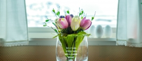 Selger tulipaner i Honningsvg 