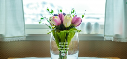 Lions arrangerer tulipanaksjon Lions arrangerer tulipanaksjon