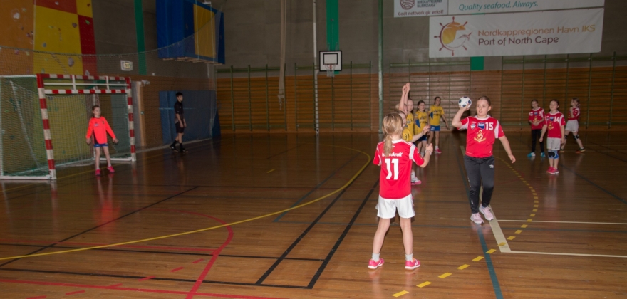 Håndballkamper er utsatt  Håndballkamper er utsatt