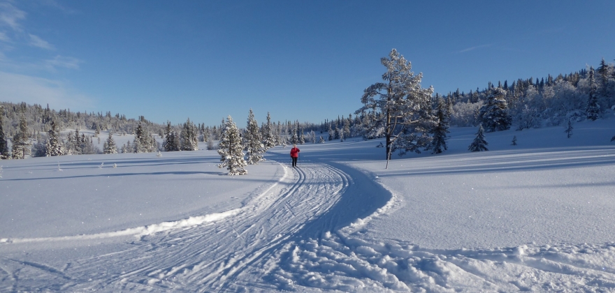 Foreslår endringer i hytteforbudet til påske Foreslår endringer i hytteforbudet til påske