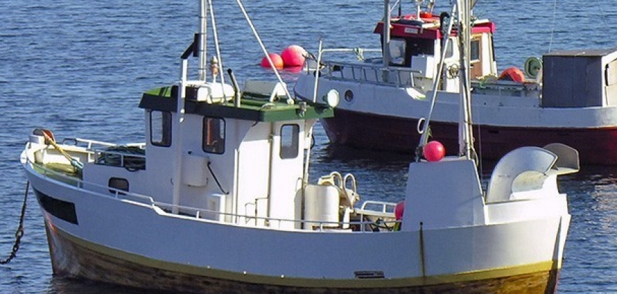 MO FISH søker fiskerifondet om tilskudd MO FISH søker fiskerifondet om tilskudd