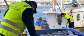 Årets blåkveitesesong var uvanlig kort Årets blåkveitesesong var uvanlig kort