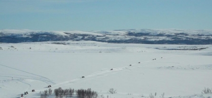Søker om tilskudd til Helsesportsuka i Porsanger 2026 Søker om tilskudd til Helsesportsuka i Porsanger 2026