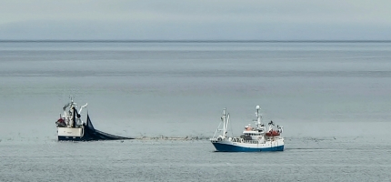 Midlertidig stenging av seinotfisket i Troms og Finnmark Midlertidig stenging av seinotfisket i Troms og Finnmark