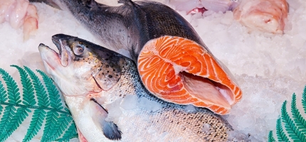 Nedgang i kvantumet for eksport av fersk laks Nedgang i kvantumet for eksport av fersk laks