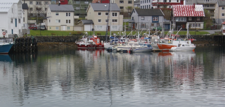 Labert fiske i forrige uke 