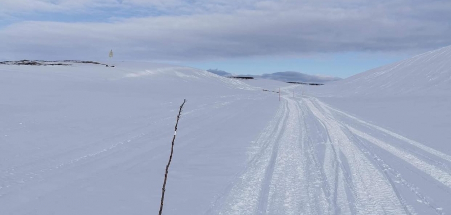 Porsanger kommune ønsker å kjøpe løypestikker i tre Porsanger kommune ønsker å kjøpe løypestikker i tre