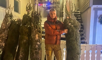 Selger juletre også i år Selger juletre også i år