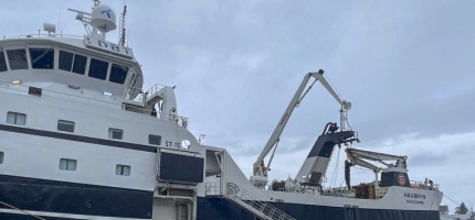 Avgiftskuttet for fiskeflåten gir også klimakutt Avgiftskuttet for fiskeflåten gir også klimakutt