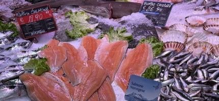 Verdirekord for sjømateksporten i 2025 Verdirekord for sjømateksporten i 2025