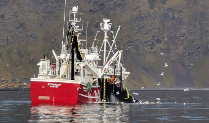 Fisket i Finnmark i forrige uke Fisket i Finnmark i forrige uke