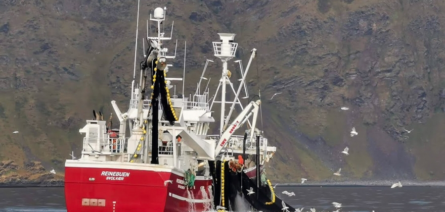 Størst aktivitet i seifisket i Vest-Finnmark 