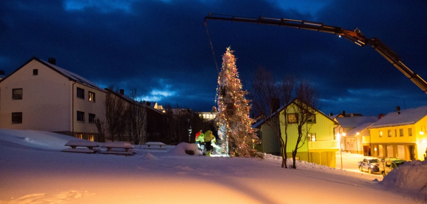 Tildeler juletrr i Finnmark