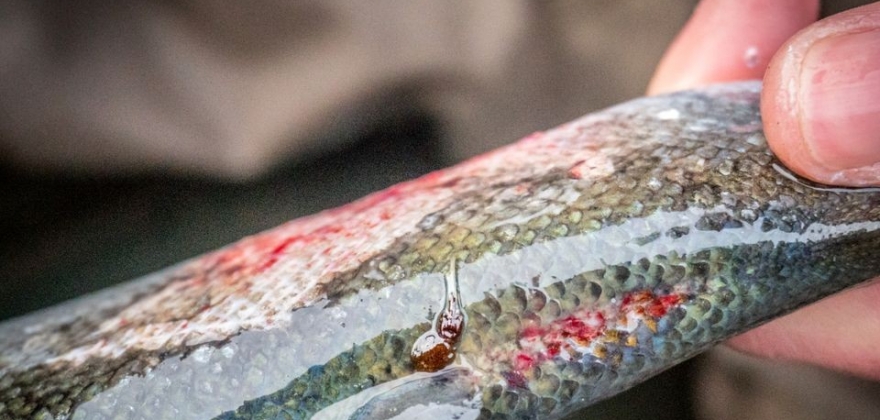 Riktig retning fra regjeringen Riktig retning fra regjeringen