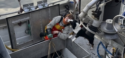 Fisket i uke ti Fisket i uke ti