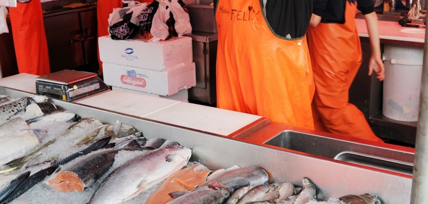 Bjørg Helen blir sjef i Norfra Bjørg Helen blir sjef i Norfra