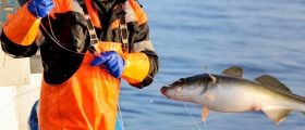 Båtsfjord-fisker kritisk til fiskeribyråkrati Båtsfjord-fisker kritisk til fiskeribyråkrati
