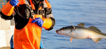 Båtsfjord-fisker kritisk til fiskeribyråkrati Båtsfjord-fisker kritisk til fiskeribyråkrati