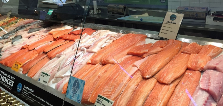 USA-vekst ga rekord for sjømateksporten i januar USA-vekst ga rekord for sjømateksporten i januar