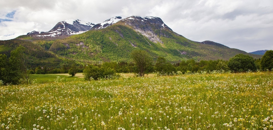 Jordbruk nord for polarsirkelen