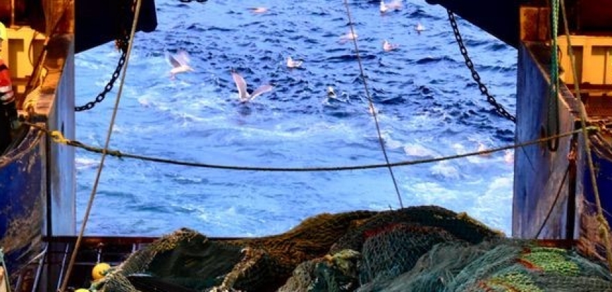 Den havgående fiskeflåten er bærebjelken for kysten Den havgående fiskeflåten er bærebjelken for kysten