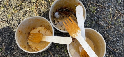 Engangsplastdirektivet løser ikke alt: Ny rapport viser økt forsøpling Engangsplastdirektivet løser ikke alt: Ny rapport viser økt forsøpling