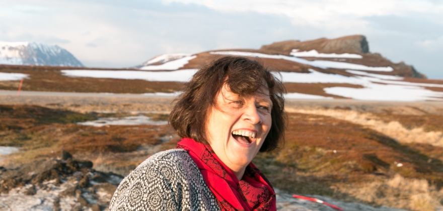 Kristina Hansen: Veidnes, et prosjekt for realisering 