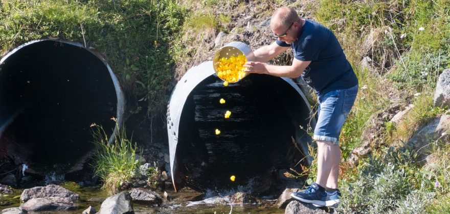 Jubileum for bryggefestivalen