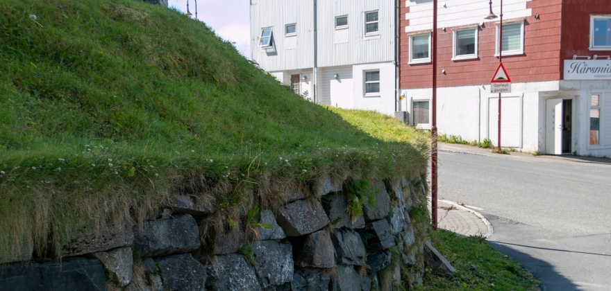 «Muren i Skjæringa», en budsjettsak  «Muren i Skjæringa», en budsjettsak
