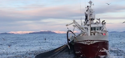 Forhåndsstenging og strengere krav i seinotfisket i 2026 Forhåndsstenging og strengere krav i seinotfisket i 2026