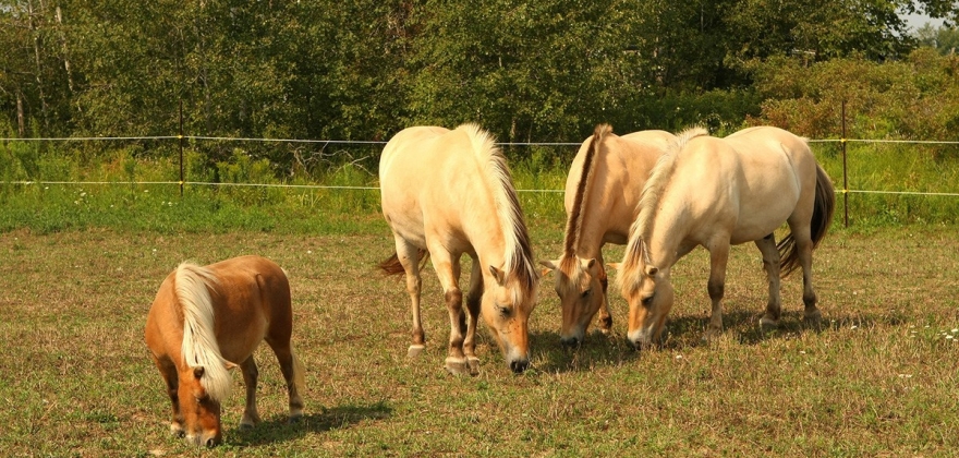 Finnmarking klar for Farmen Finnmarking klar for Farmen