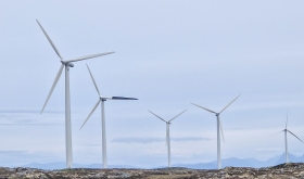 Svart rotorblad redder fugler fra vindturbiner Svart rotorblad redder fugler fra vindturbiner