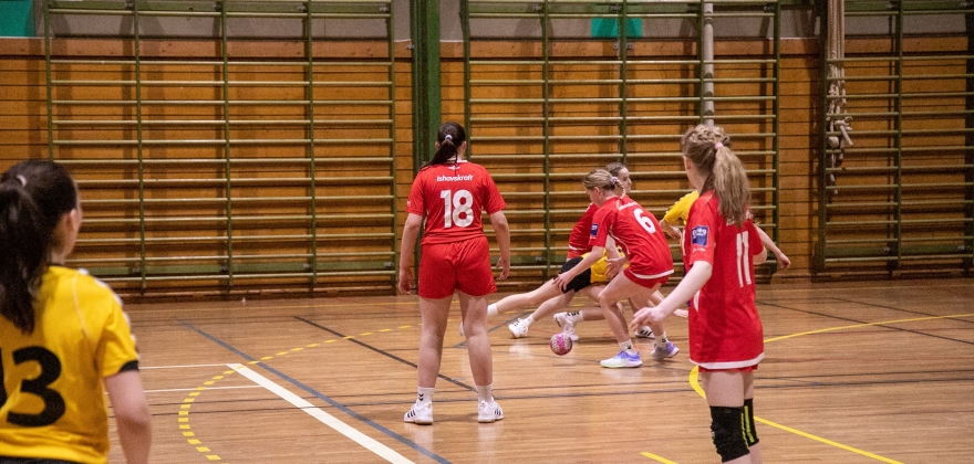 Håndballkamper mot Kirkenes  Håndballkamper mot Kirkenes